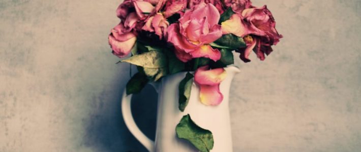 deuil, psychologie : des roses se fanent